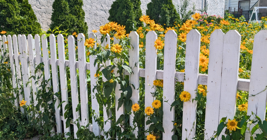 Wood privacy fence installed at a Philadelphia home as part of a residential improvement project.